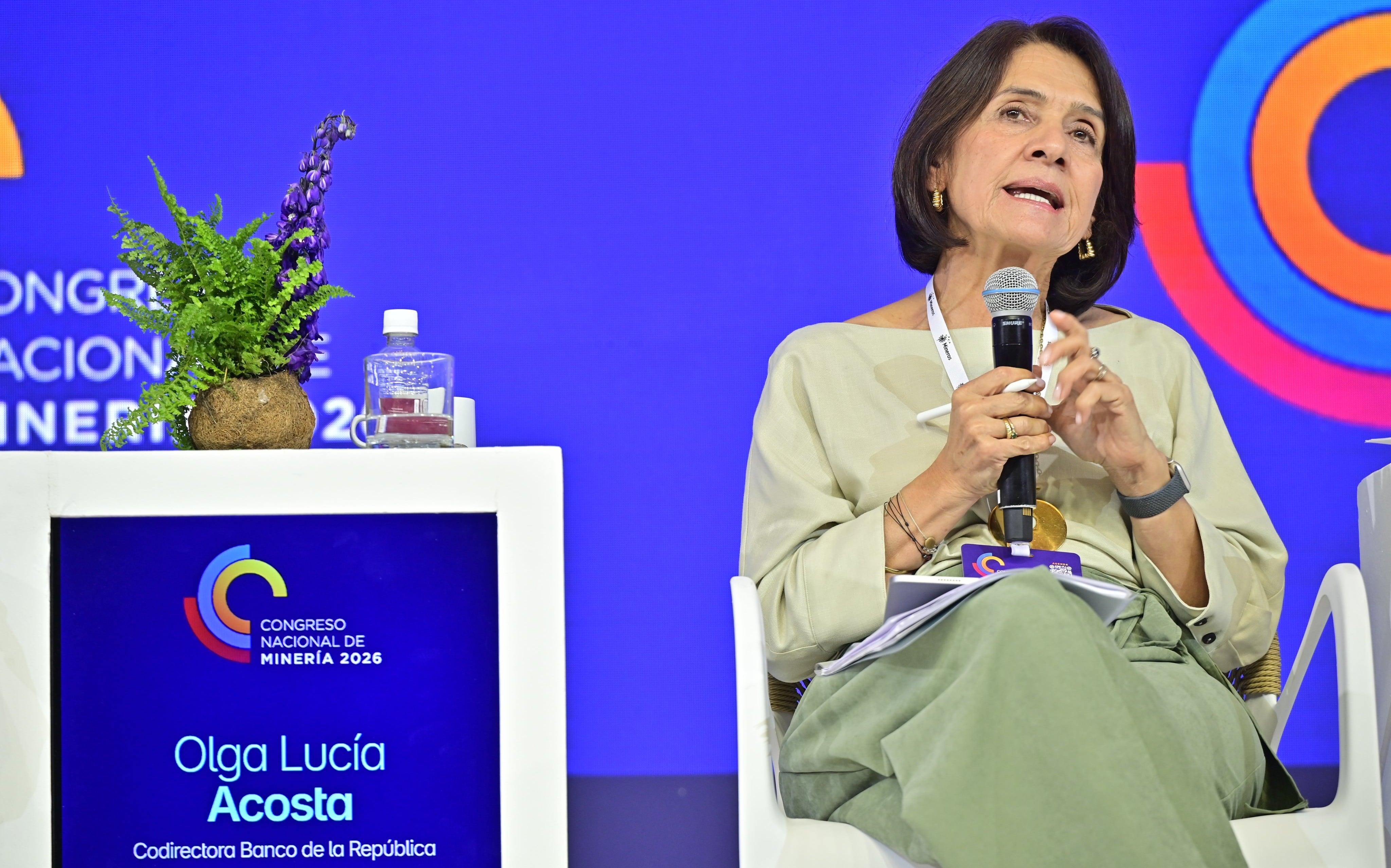 Olga Lucía Acosta, codirectora del Banco de la República, advirtió que Colombia tendrá que pagar más impuestos para cerrar el hueco fiscal - crédito @acmineriacol/X