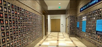 Paredes da DEA cobertas com fotos de vítimas de fentanil. Crédito: DEA