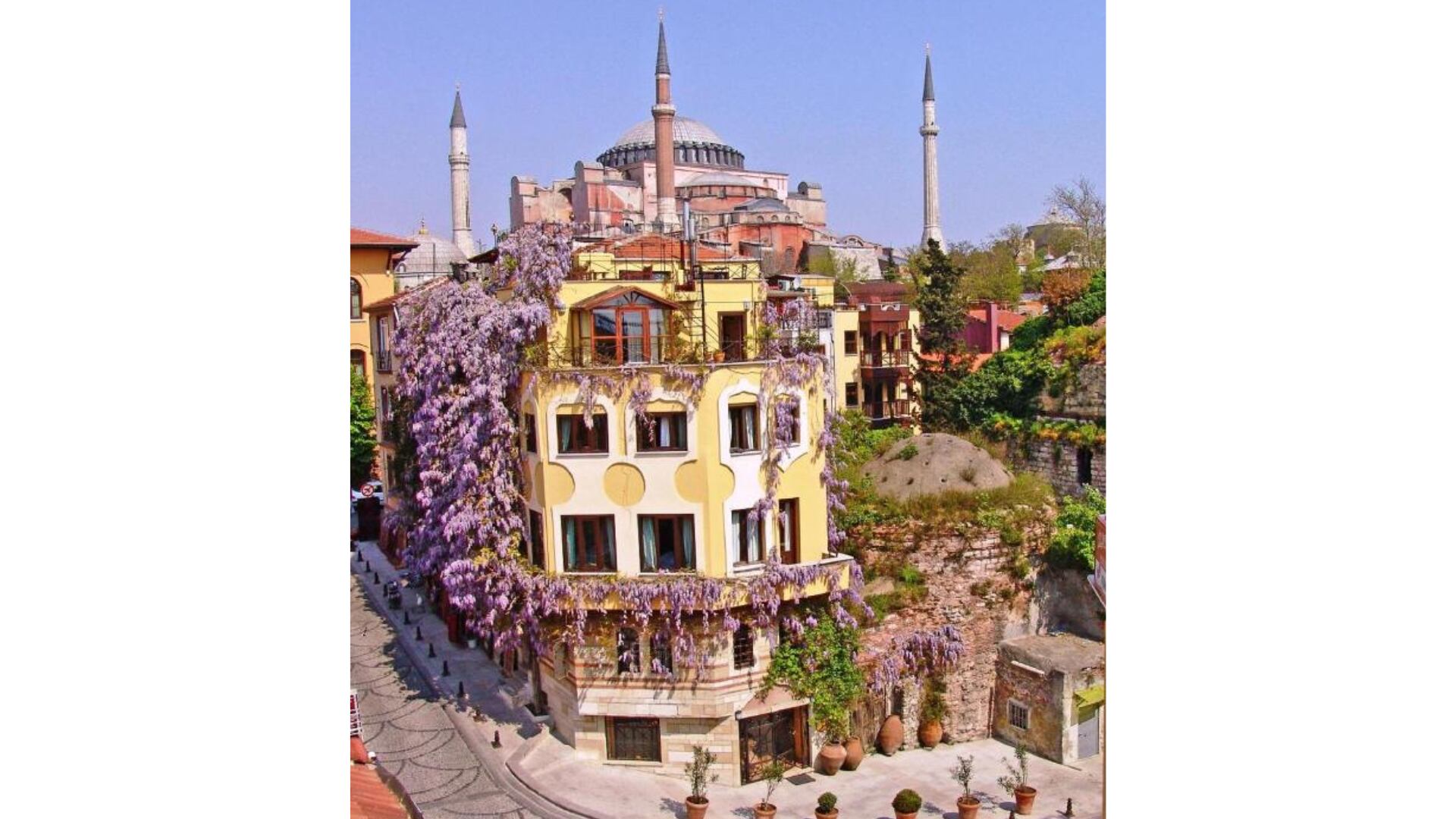 En el hotel Empress Zoe de Estambul, los huéspedes comparten jardines y terrazas con gatos residentes, reflejo del espíritu felino de la ciudad. (Booking)