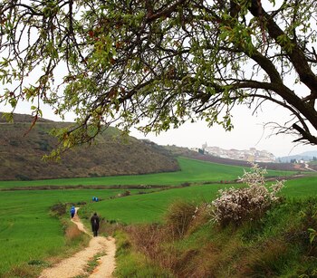Este recorrido nació en la