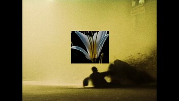 Gregor Petrikovic ganó el Premio