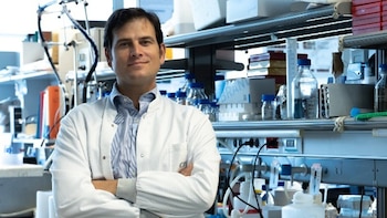 La organización sin ánimo de