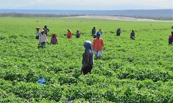 La revisión periódica de los salarios mínimos busca elevar la calidad de vida de las familias trabajadoras y brindar estabilidad a los empleadores. (Imagen de cortesía)