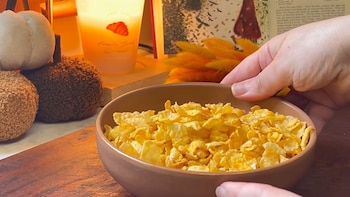 cereales de maíz