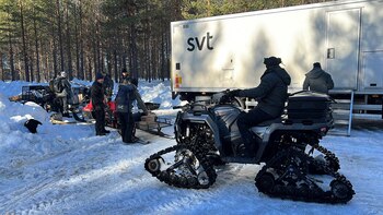 La autenticidad del programa ofrece