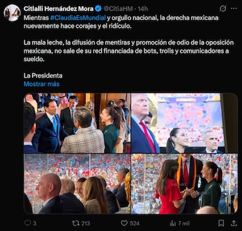 La presidenta de la Comisión Nacional de Elecciones y Alianzas del partido sostiene en redes sociales que los señalamientos surgen de una red de bots, trolls y comunicadores pagados tras la asistencia presidencial a la final