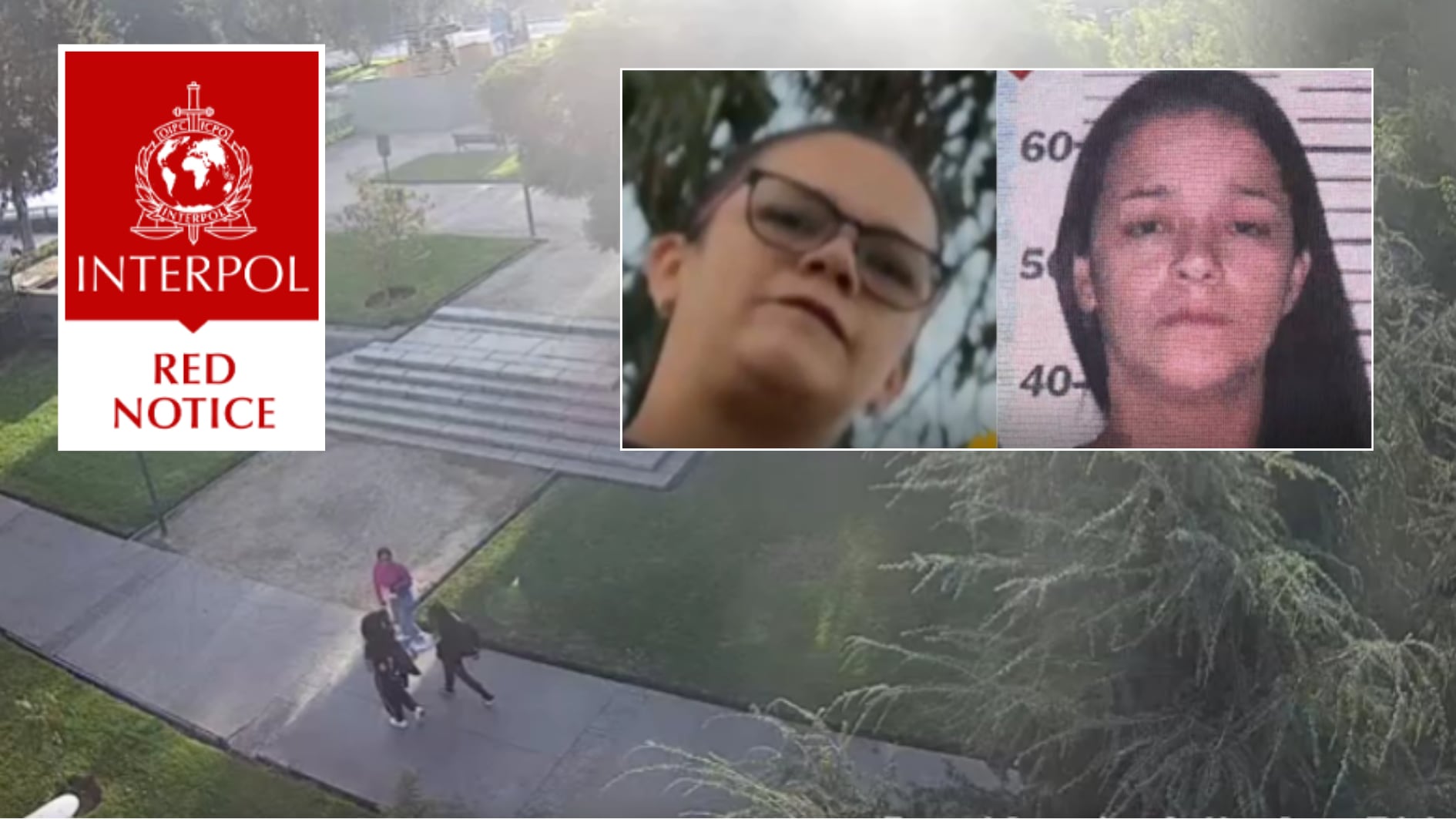 La ciudadana colombiana Yuleidy Silva (39 años) contaba con una circular roja activa por parte de la Interpol - crédito PDI | Interpol / sitio web | captura de pantalla T13