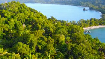 Los conservacionistas han señalado durante