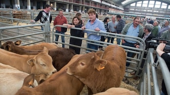 La presidenta cántabra dice "sí