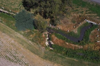 Además del maltrato la industria