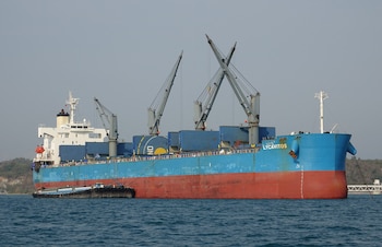 Vista del granelero de bandera