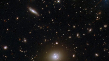 ¿Y si la materia oscura viniera en dos estados?