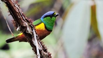 Según la investigación, de esa