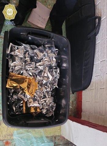 También se encontraron dentro del