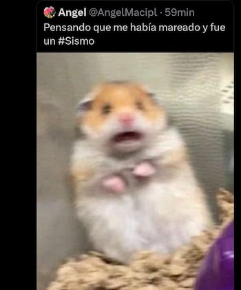 (captura de pantalla)