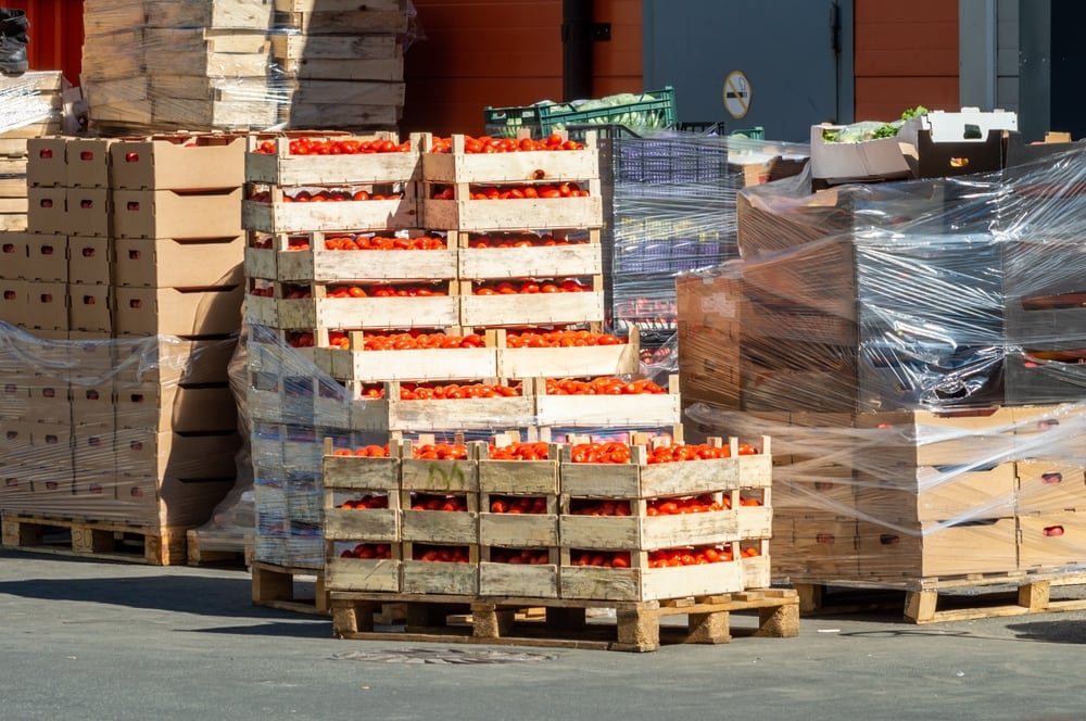 La tasa de desempleo del sector agropecuario bajó de 11.9% a 5.6% en el período analizado por el MAG. (Foto: Shutterstock)