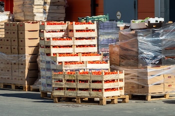 Frutas y verduras