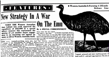 Recorte de un diario que