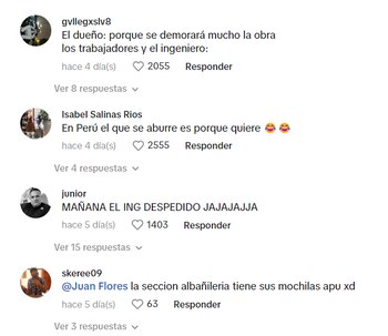 Cibernautas no dejaron pasar la