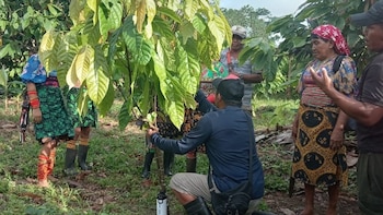 Impulsan 20 proyectos para fortalecer la seguridad alimentaria en la comarca Guna Yala, en Panamá