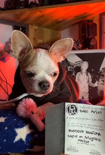 El video viral muestra a