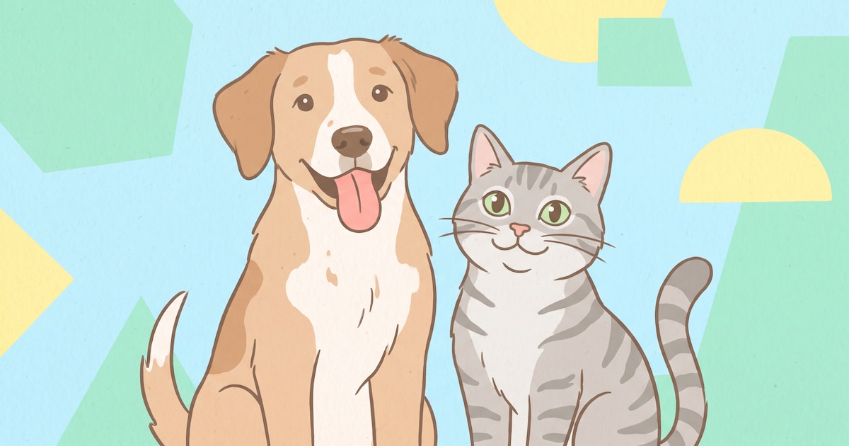 Longevidad animal: las claves preventivas para extender la vida de perros y gatos
