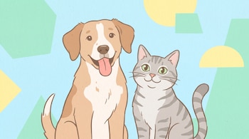 Ilustración de perro marrón y blanco con lengua fuera, y gato atigrado gris de ojos verdes. Sentados. Fondo azul celeste con formas geométricas.