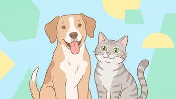 5 hábitos que ayudan a preservar la salud de perros y gatos, según veterinarios