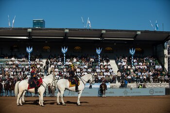 Panorama de un desfile ecuestre en un predio al aire libre con gradas repletas de público, jinetes con uniformes históricos sobre caballos blancos y marrones