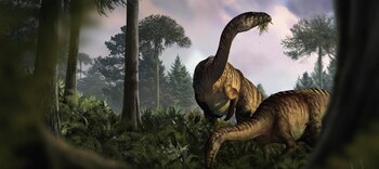 Examinar interacciones ecológicas pasadas de dinosaurios puede ofrecer lecciones valiosas para enfrentar el cambio climático actual (Marcin Ambrozik vía AP)