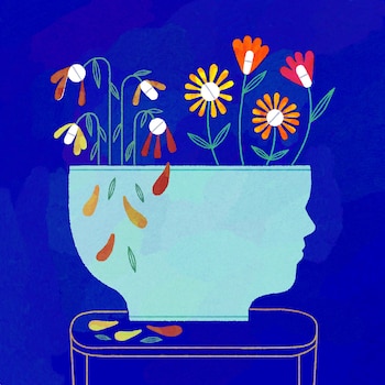 Imagen RWVRPY3OGFEFHKHNMNLMR54T5A