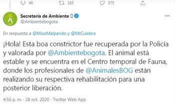 Secretaría de Ambiente anunció que