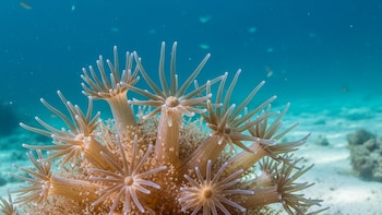 El microbioma del agua de