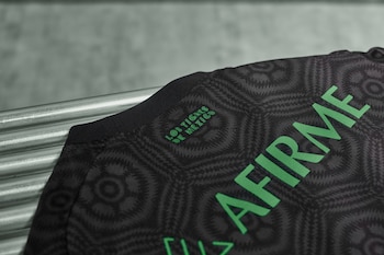 (X / Tigres / Tigres