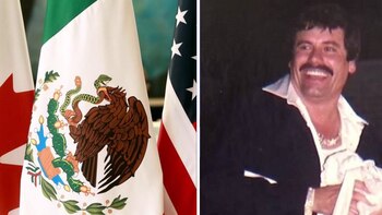 Así aprovecharon el TLC los