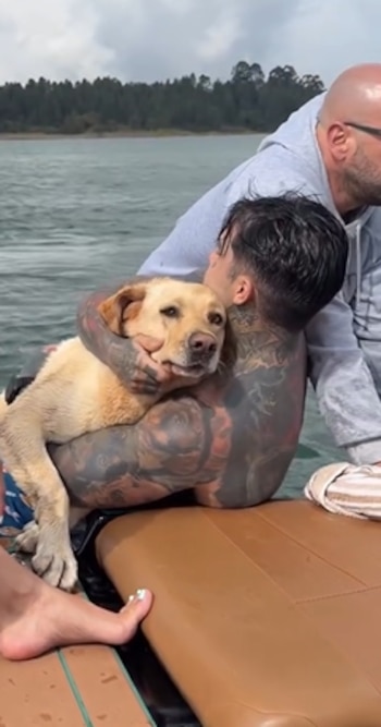 Aunque el perro se encariño