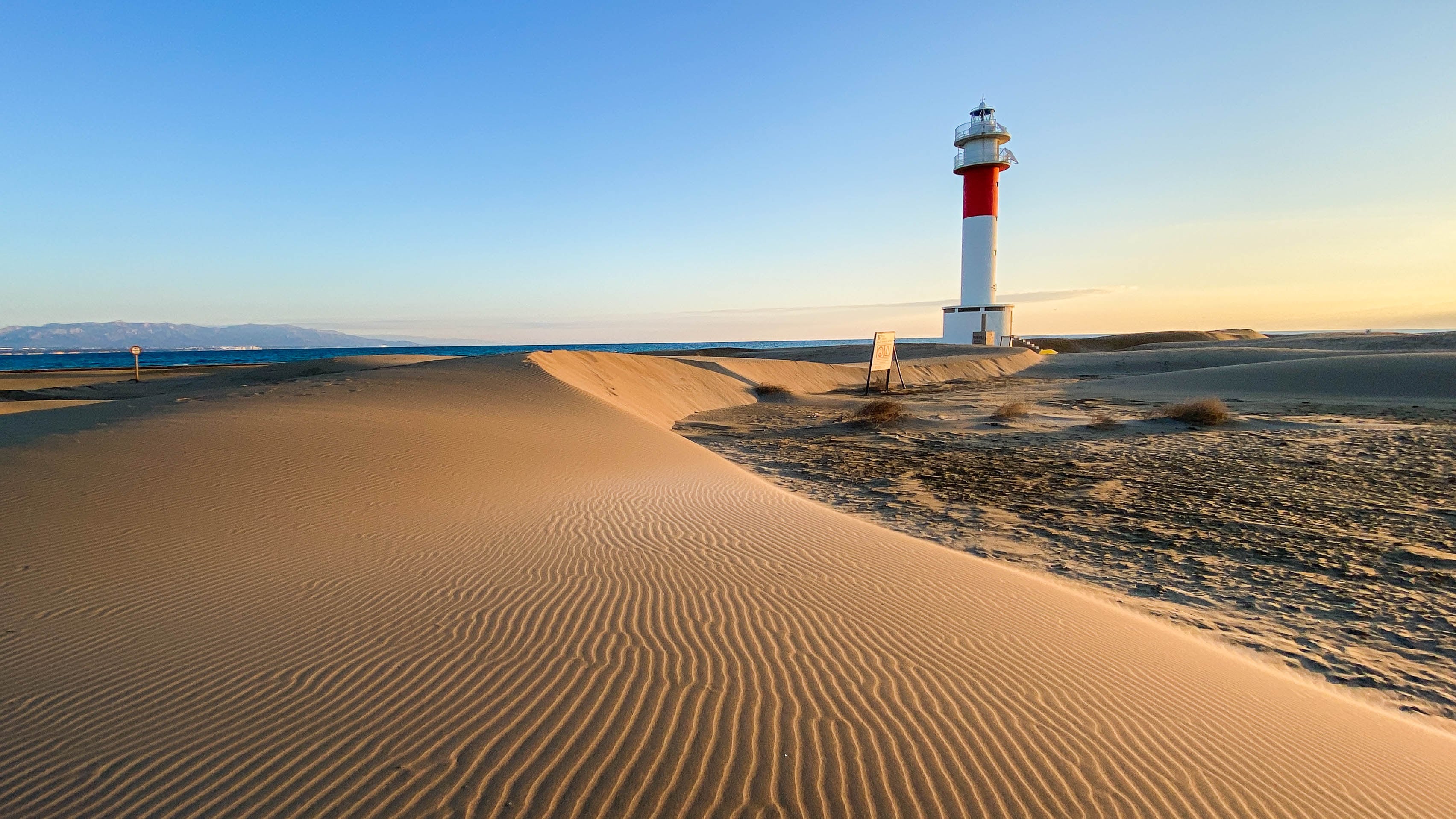 Parece una isla desierta en medio del Pacífico, pero está en Cataluña: naturaleza virgen y una oportunidad para los amantes de la ornitología