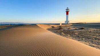 Parece una isla desierta en medio del Pacífico, pero está en Cataluña: naturaleza virgen y una oportunidad para los amantes de la ornitología