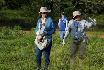 Captura de ratones en el campo para prevenir el hantavirus. (MINSA)