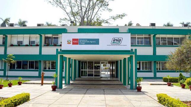 El proceso de aprobación del INIA 625 - MAYUHUAYLLINO incluyó análisis de distinción, homogeneidad y estabilidad, más validaciones agroeconómicas y legales.