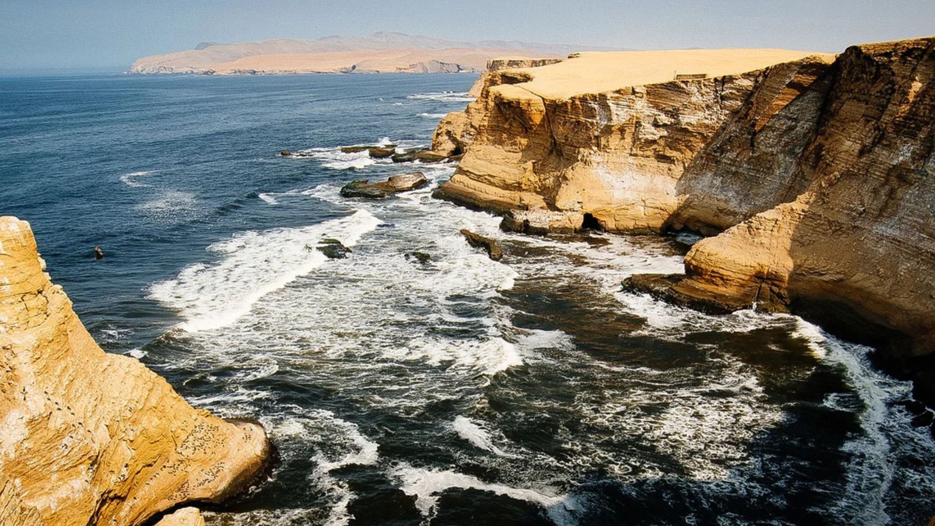 Reserva Nacional de Paracas