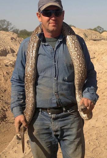 Konstantin Orlov, un hombre con gorra y gafas de sol, sostiene una serpiente pitón grande y moteada sobre sus hombros en un paisaje desértico con arena y vegetación