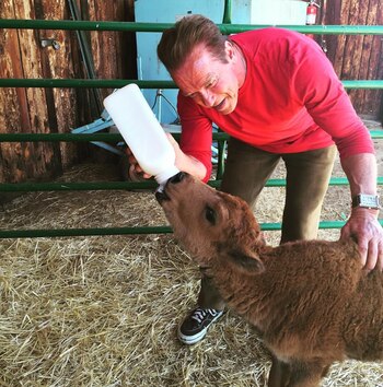 Arnold Schwarzenegger dándole leche a