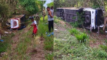 Imagen RXO7KVCVHNCDBLSS7JBSV3BJPI