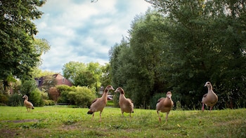 Un Ayuntamiento madrileño busca una