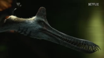 El documental revela que los