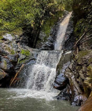 El conjunto natural, conformado por