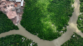 Documentan el impacto del cambio