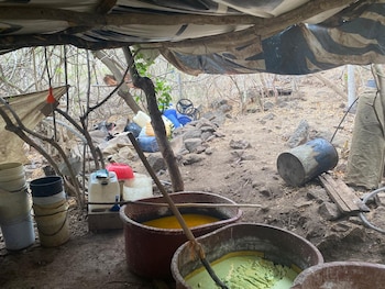 No hubo personas detenidas
(Foto: