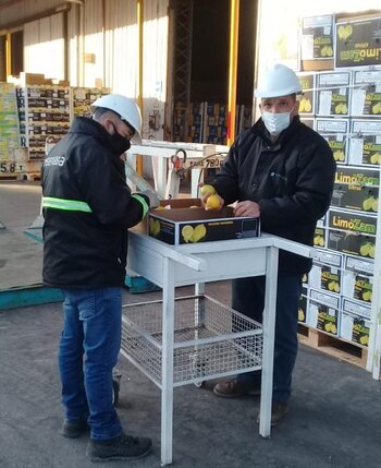 Personal del Senasa trabajando en